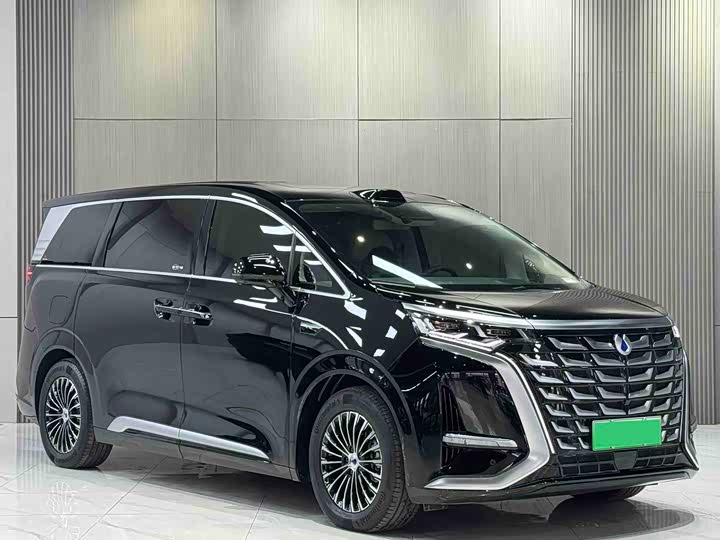 Фото 3 - Denza D9