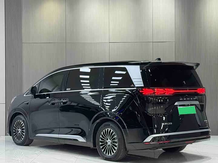 Фото 4 - Denza D9