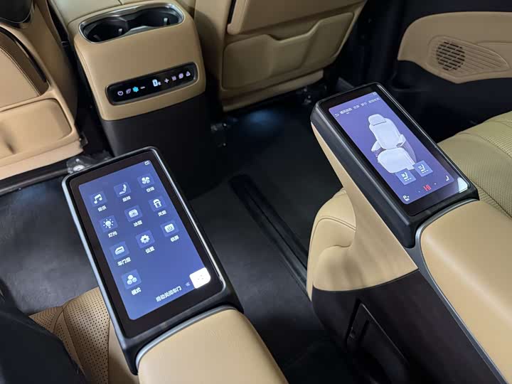 Фото 8 - Denza D9