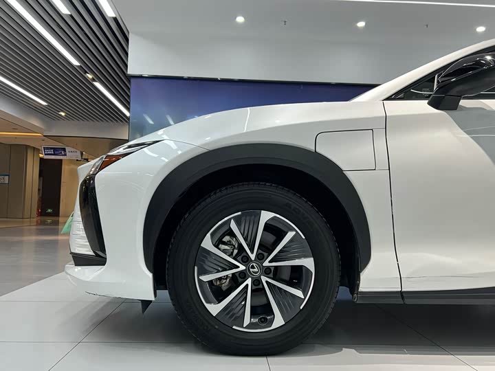 Фото 6 - Lexus RZ