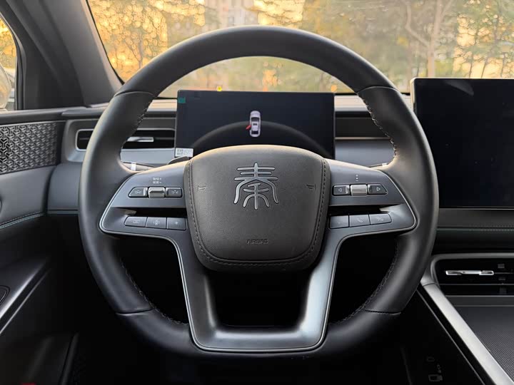 Фото 7 - BYD Qin Plus