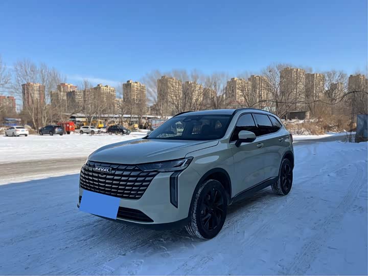 Фото 1 - Haval H6