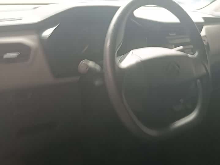 Фото 7 - Maxus EV30