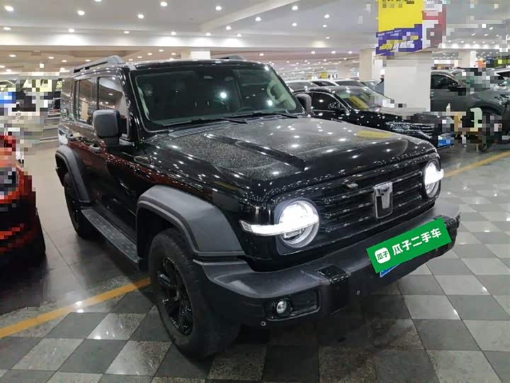 Фото 4 - Tank 300