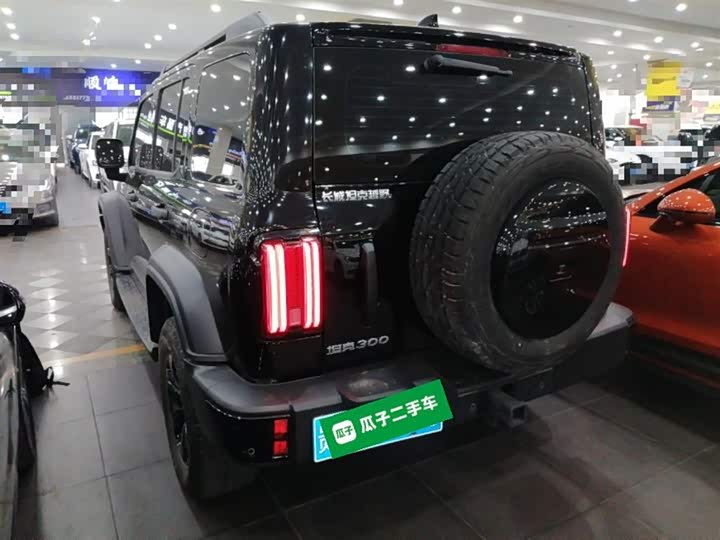 Фото 5 - Tank 300