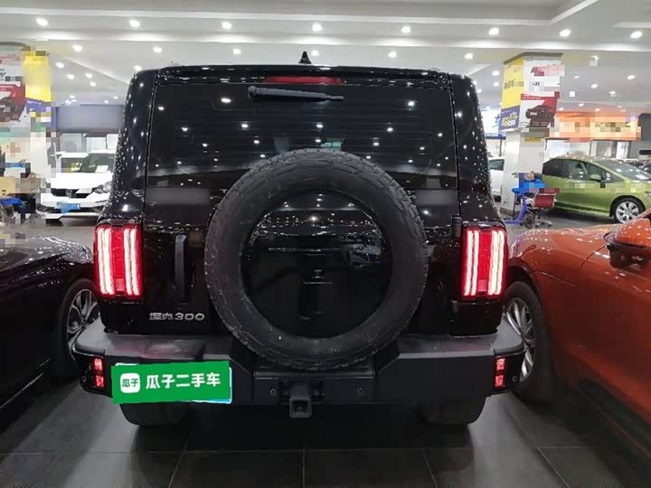 Фото 6 - Tank 300