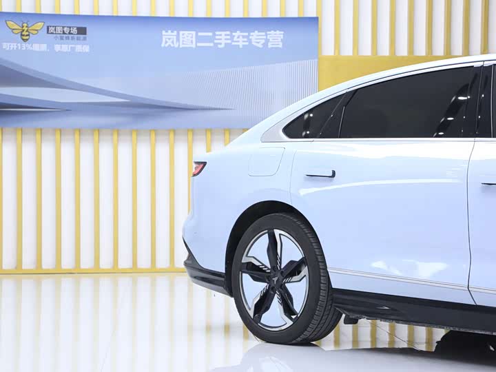 Фото 5 - Voyah Passion