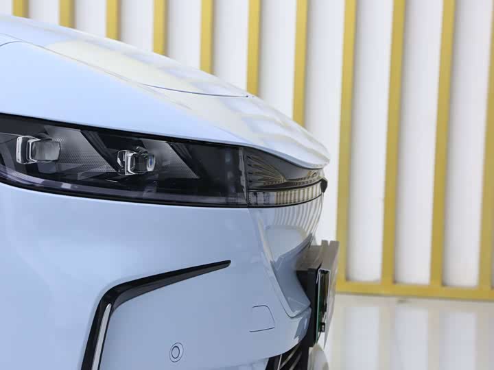 Фото 7 - Voyah Passion