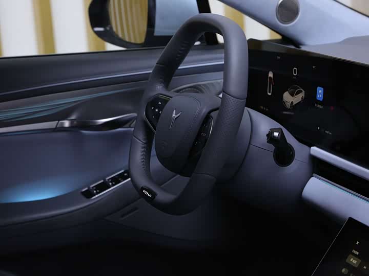 Фото 9 - Voyah Passion