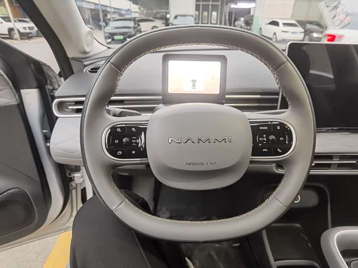 Фото 8 - Dongfeng Nammi 01