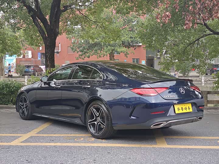 Фото 4 - Mercedes-Benz CLS-Class