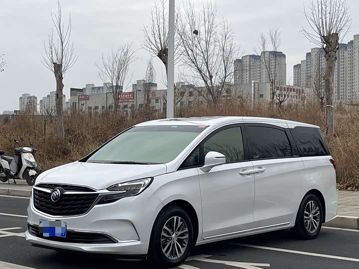 Фото 1 - Buick GL8 ES