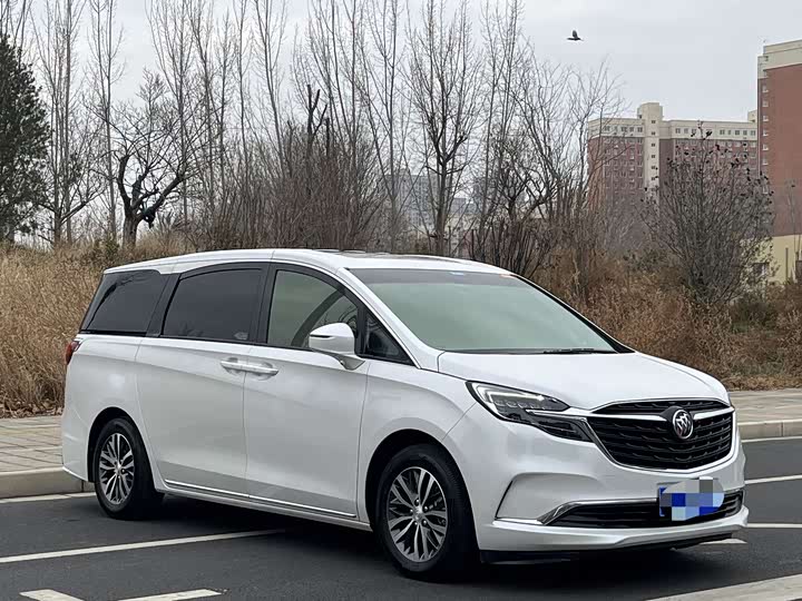 Фото 3 - Buick GL8 ES