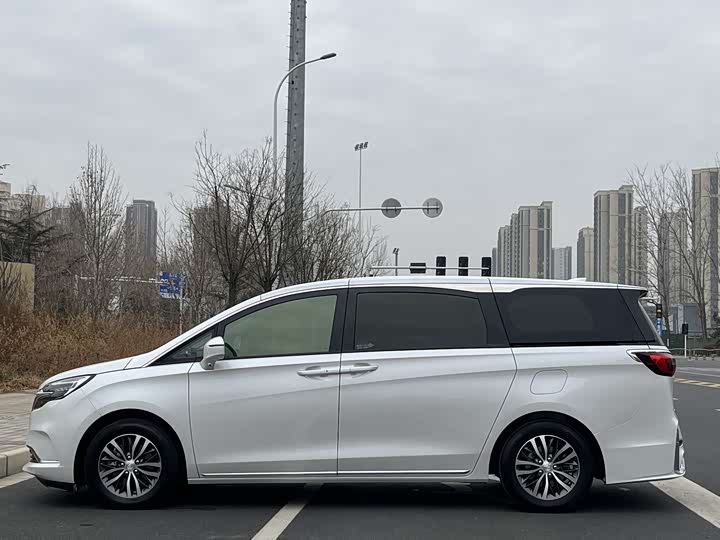 Фото 4 - Buick GL8 ES