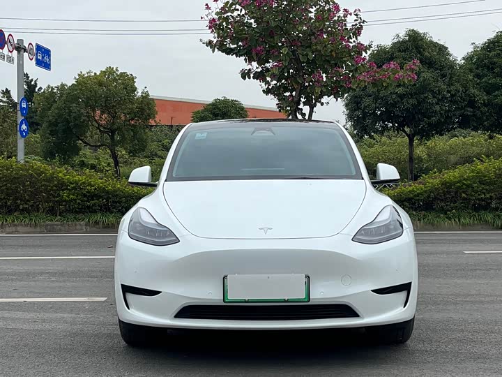 Фото 2 - Tesla Model Y