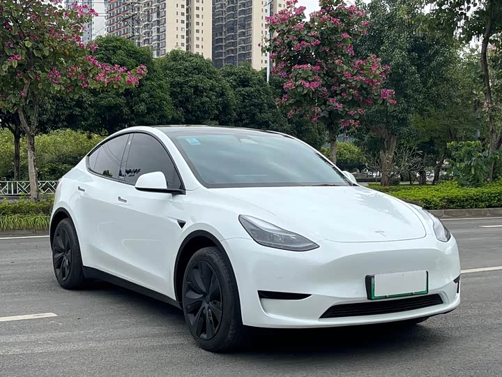 Фото 3 - Tesla Model Y