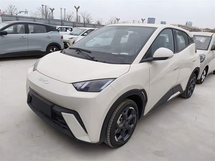 Фото 1 - BYD Seagull