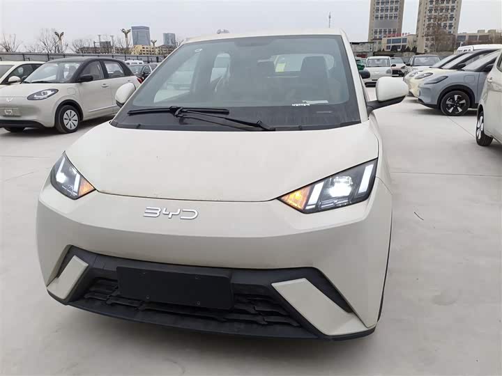 Фото 3 - BYD Seagull