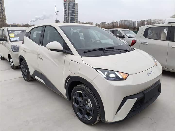 Фото 4 - BYD Seagull