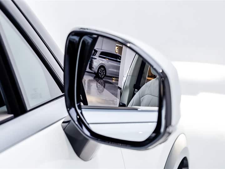 Фото 5 - Zeekr 9X