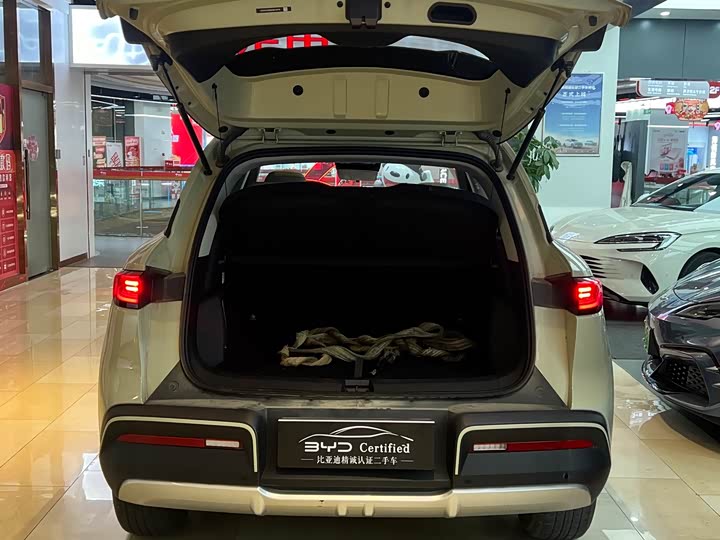 Фото 7 - BYD Yuan Up