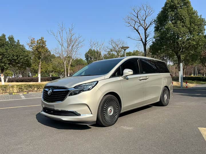 Фото 1 - Buick GL8 ES