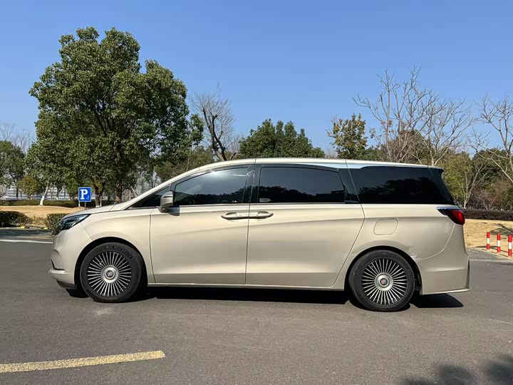 Фото 7 - Buick GL8 ES