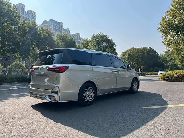 Фото 8 - Buick GL8 ES