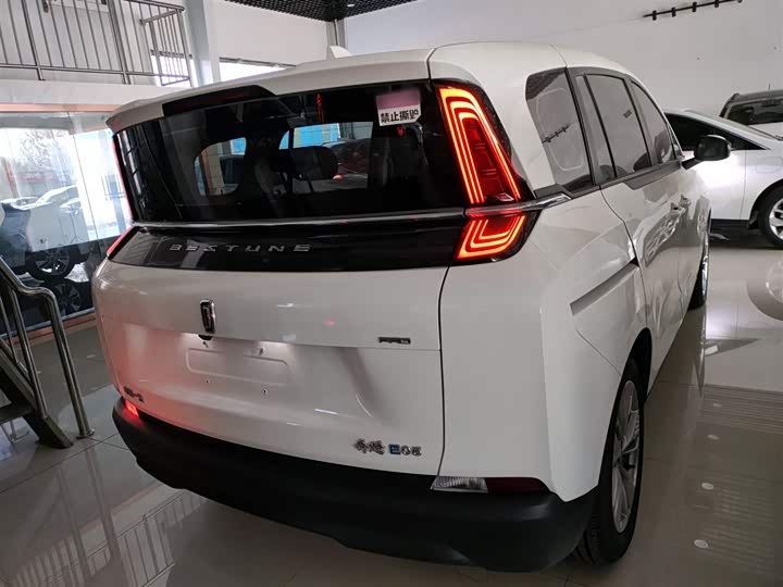 Фото 6 - Bestune NAT