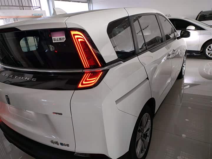 Фото 8 - Bestune NAT