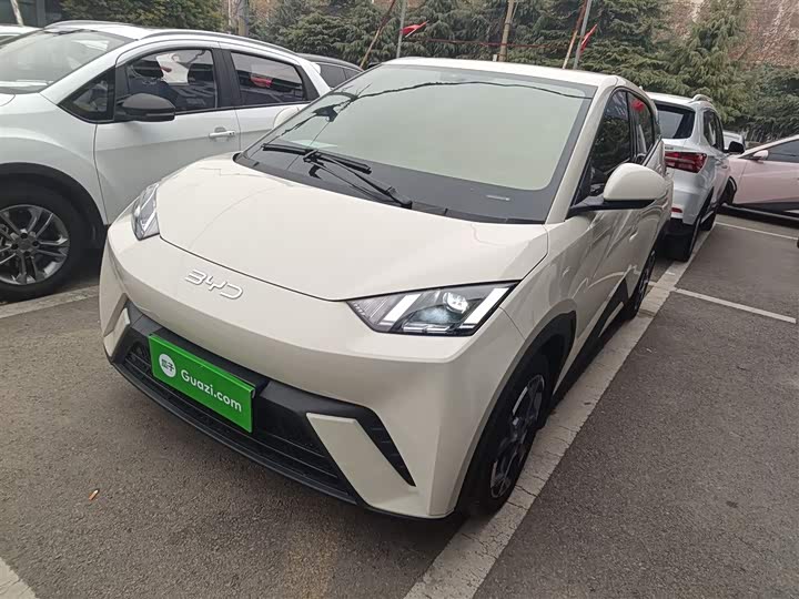 Фото 2 - BYD Seagull