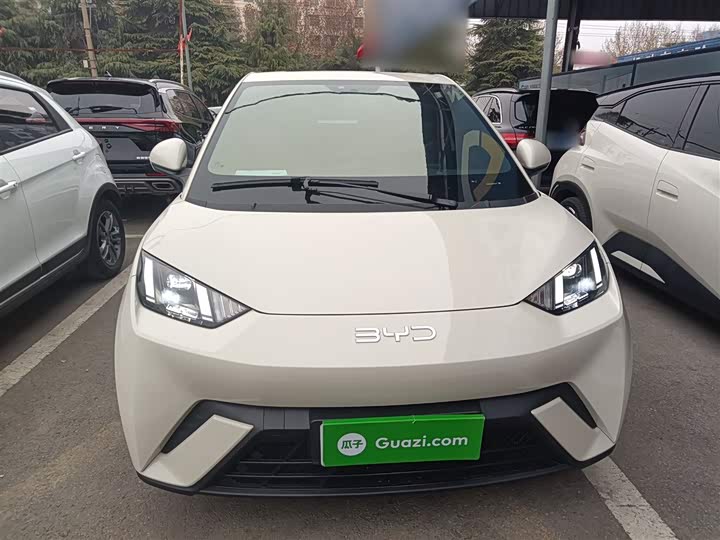 Фото 3 - BYD Seagull