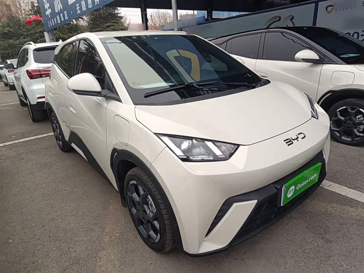 Фото 4 - BYD Seagull