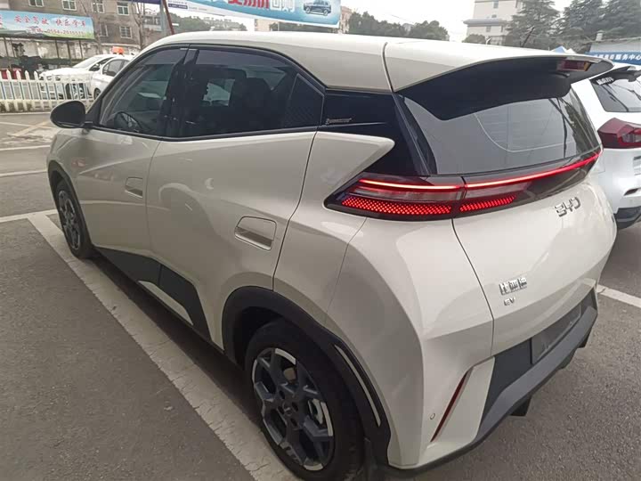 Фото 5 - BYD Seagull