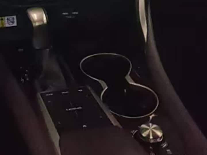 Фото 7 - Lexus RX