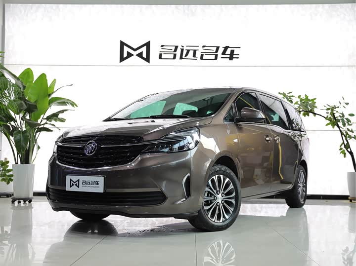 Фото 1 - Buick GL8 ES