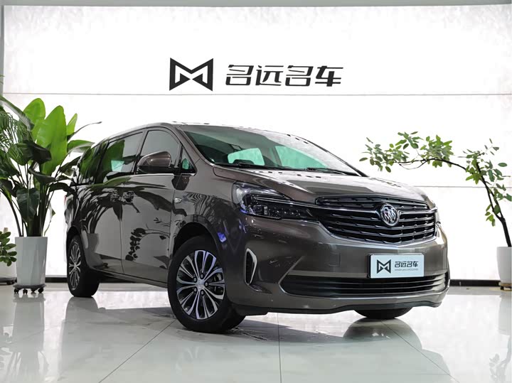 Фото 3 - Buick GL8 ES