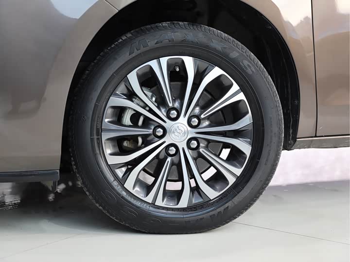 Фото 4 - Buick GL8 ES