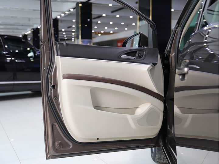 Фото 5 - Buick GL8 ES