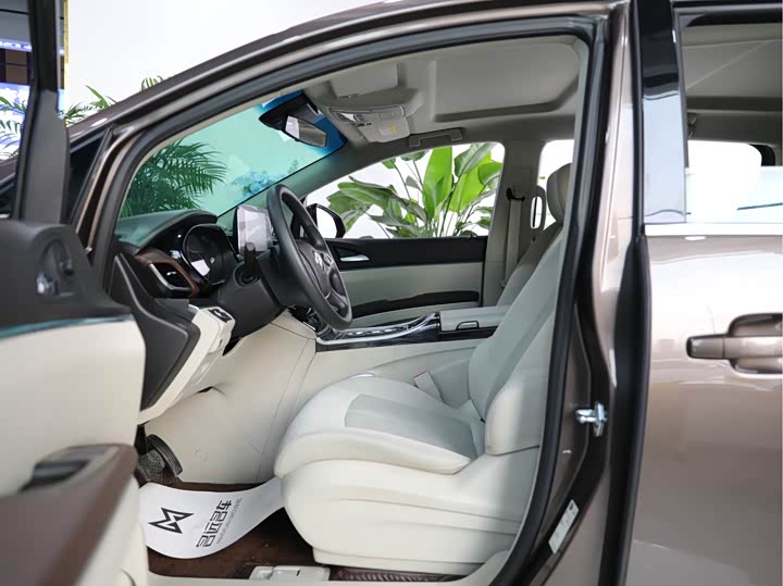 Фото 6 - Buick GL8 ES