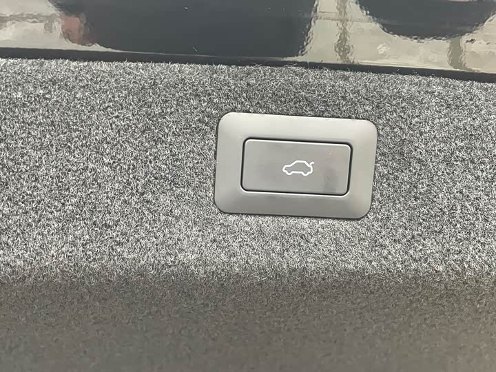 Фото 8 - Exeed Sterra ES