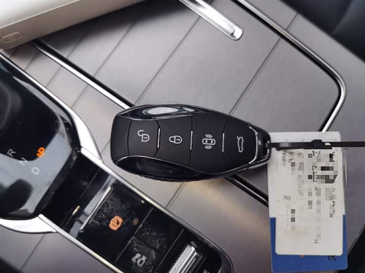 Фото 9 - Hongqi HS7 Hybrid