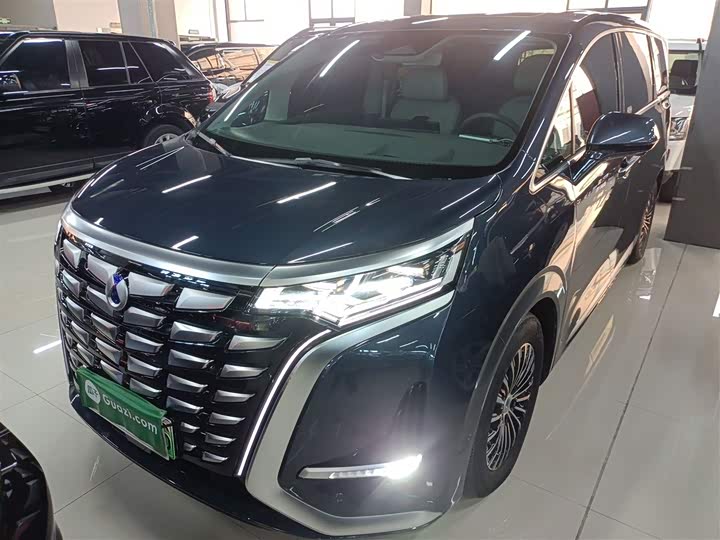 Фото 2 - Denza D9