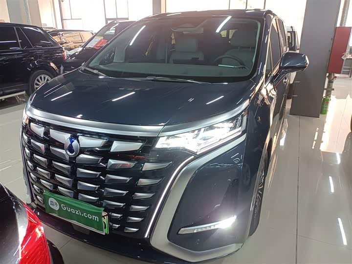 Фото 3 - Denza D9