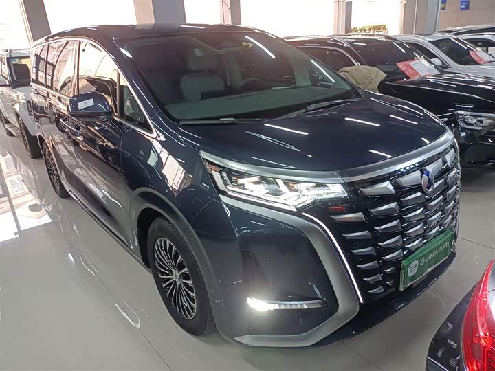 Фото 4 - Denza D9