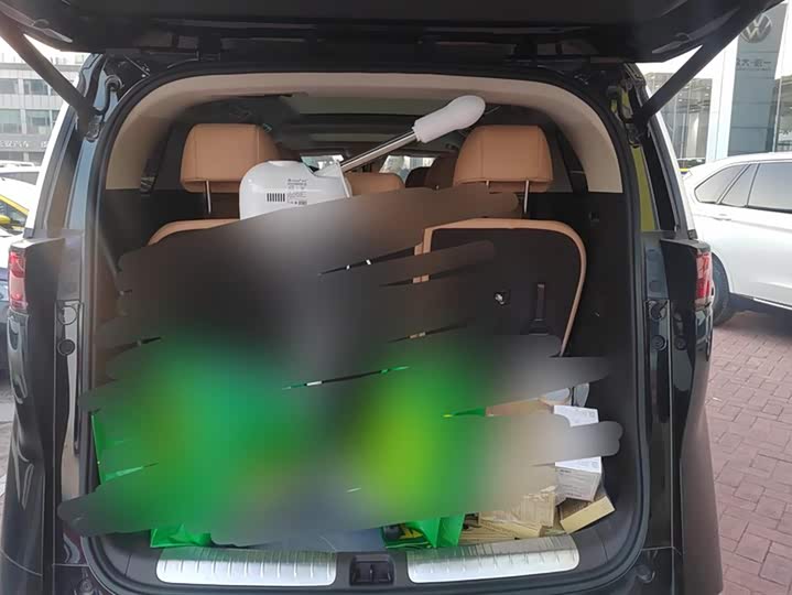 Фото 4 - Denza D9