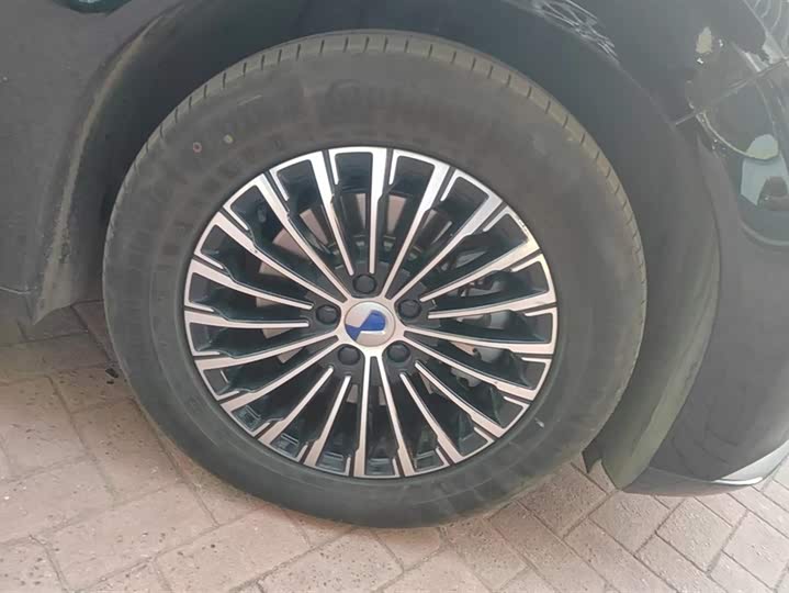 Фото 6 - Denza D9