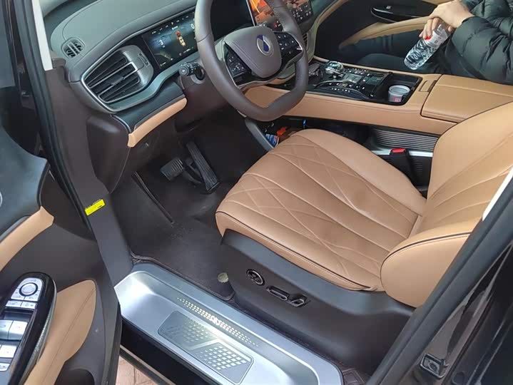 Фото 9 - Denza D9