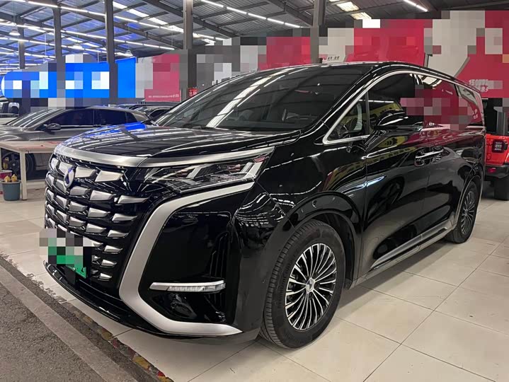 Фото 1 - Denza D9