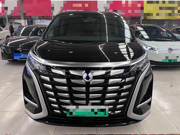 Фото 2 - Denza D9